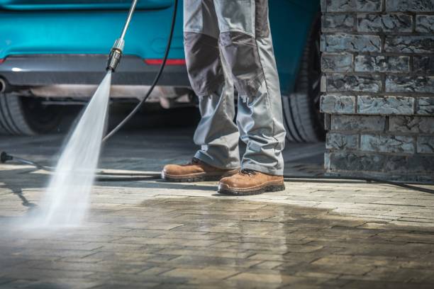 Best Building Exterior Washing  in Spring Grove, MN