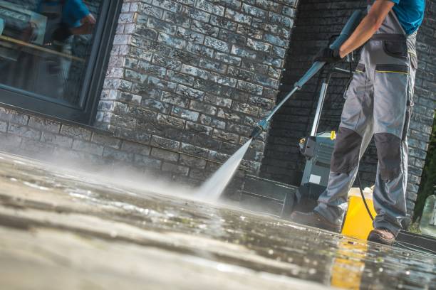 Best Dumpster Area Cleaning  in Spring Grove, MN
