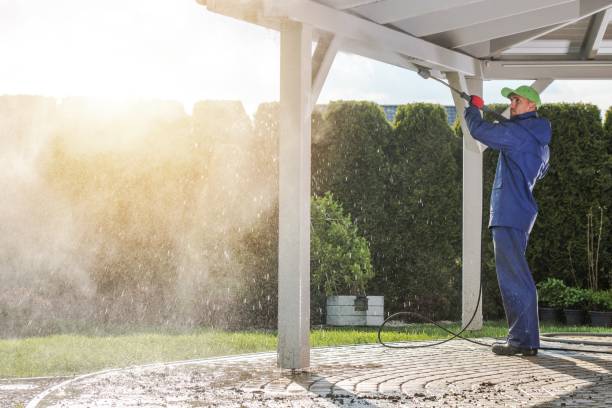 Best Driveway Pressure Washing  in Spring Grove, MN