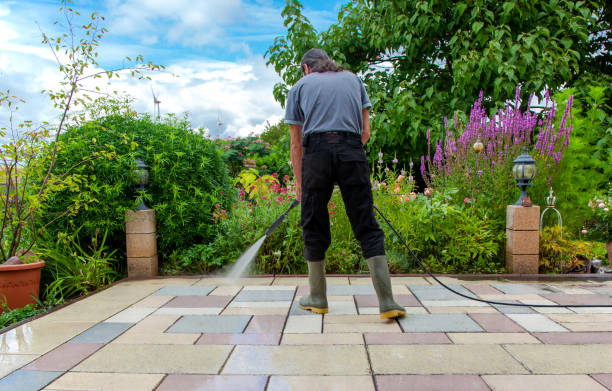 Best Patio and Deck Pressure Washing  in Spring Grove, MN