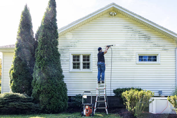 Best Restaurant Pressure Washing  in Spring Grove, MN